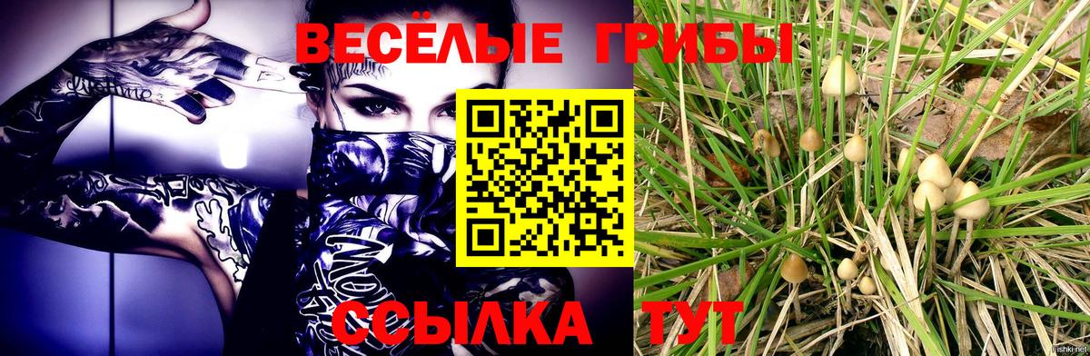 Семёнов  Псилоцибиновые грибы Psilocybe  Вход с VPN 